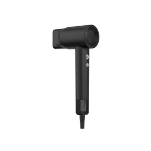 Prix ​​de gros de sèche-cheveux silencieux de technologie ionique de logo personnalisé d'hôtel