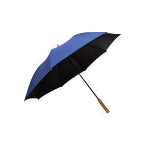 Parapluies d'hôtel bleus professionnels de 27 po